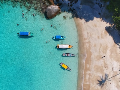 Next trip